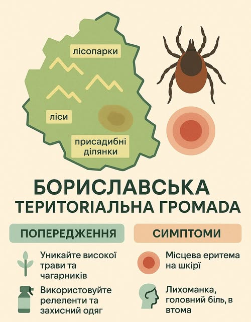 Сезон кліщіві: як уберегти себе та рідних від хвороби Лайма