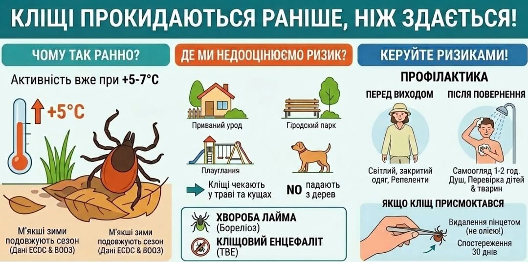 Сезон кліщів розпочато: чому чекати тепла — це помилка